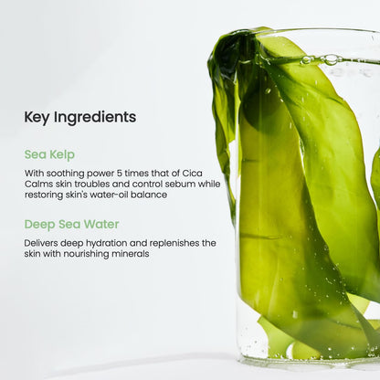 Biodance Refreshing Sea Kelp Real Deep Mask | 34g x 4ea