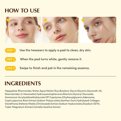 Eqqualberry Collagen Glow Up Gel Toner Pads (60ea) – Firming & Brightening Care