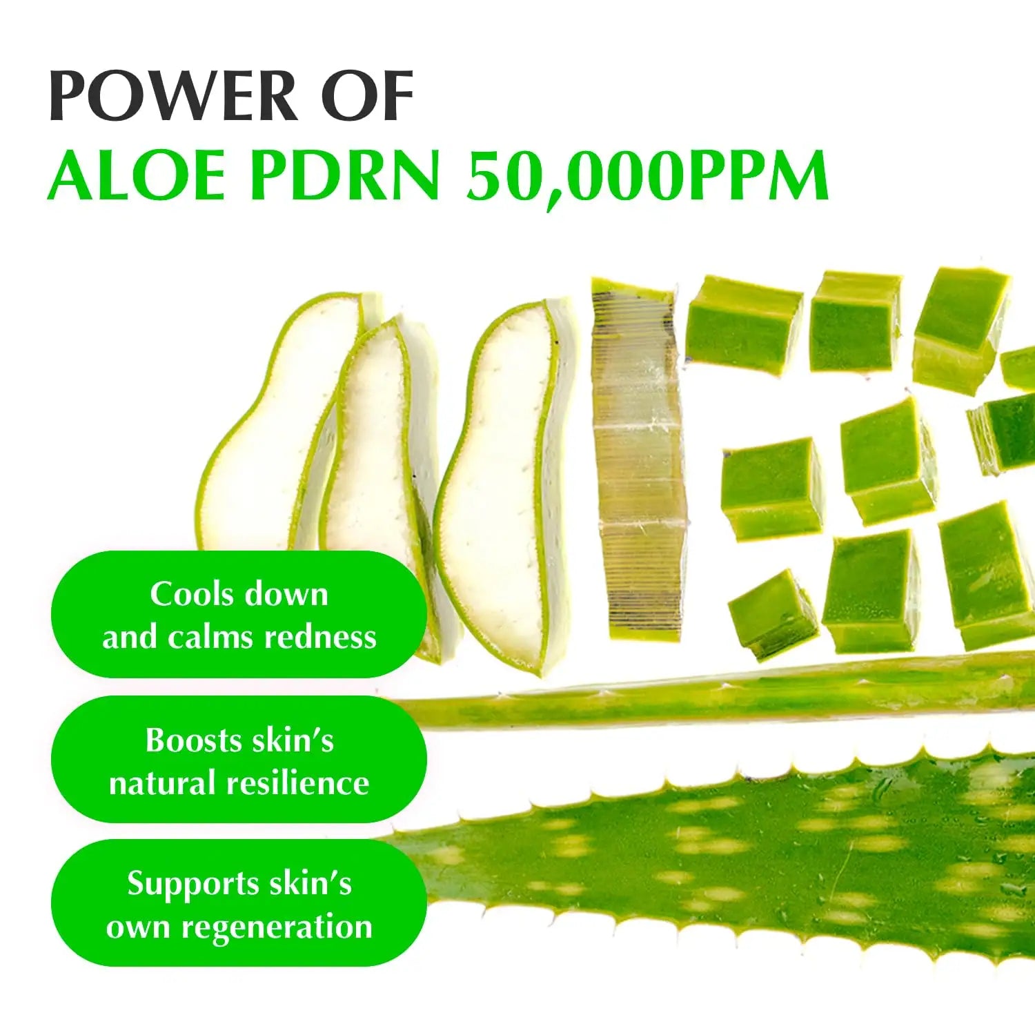 Eqqualberry Aloe PDRN Calming Smoothie Serum – Soothing & Repairing 30ml
